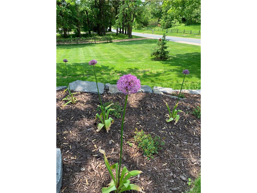 1145 Mount Hope Road Carver MN 55315 7091352 image19
