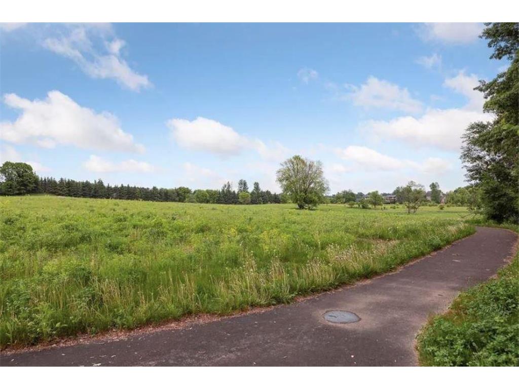 11454 Blazingstar Lane N Lake Elmo MN 55042 6825991 image4