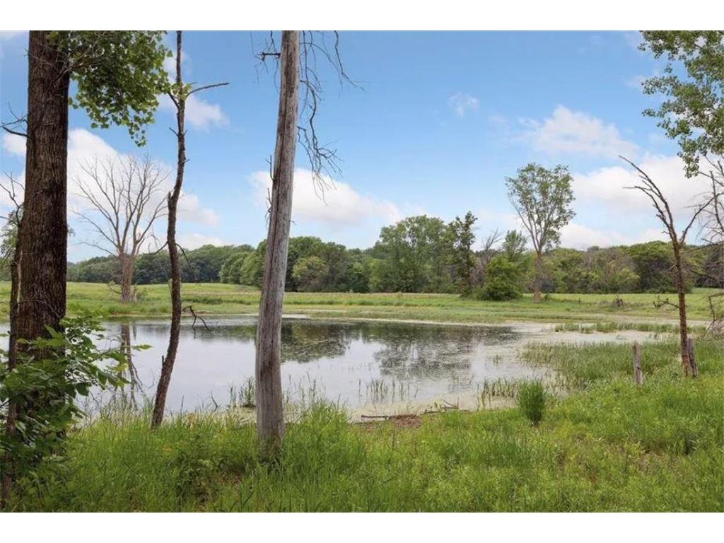 11454 Blazingstar Lane N Lake Elmo MN 55042 6825991 image5