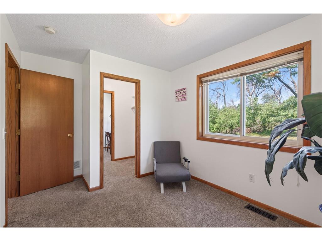 11462 42nd Street SE Palmer Twp MN 55319 - Julia Lake 7057341 image21