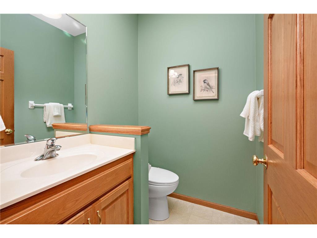 11466 Preserve Lane N Champlin MN 55316 6818199 image24