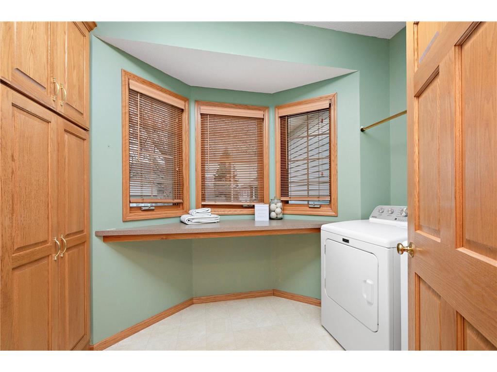 11466 Preserve Lane N Champlin MN 55316 6818199 image25