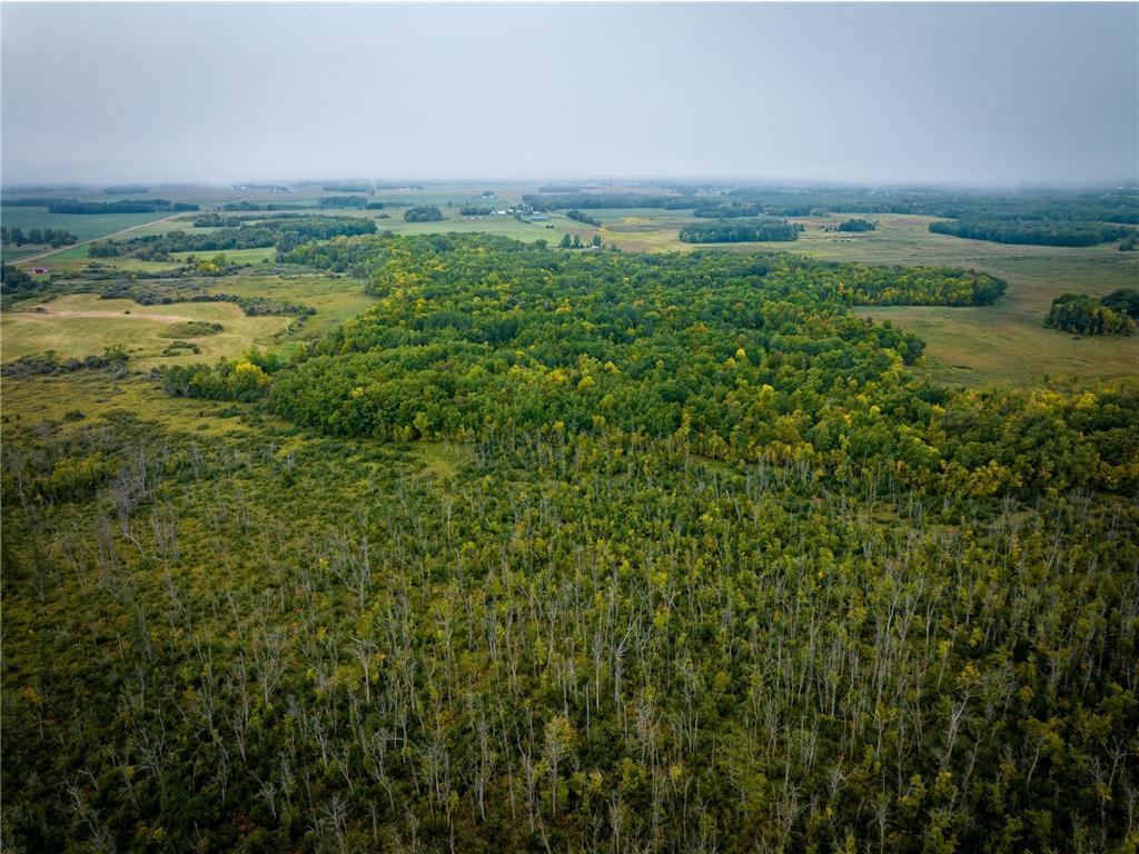 1148 Mahogany Street Braham MN 55006 6430808 image1