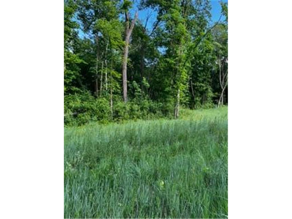 1148 Pavilion Lane SW Rochester MN 55902 7037727 image11