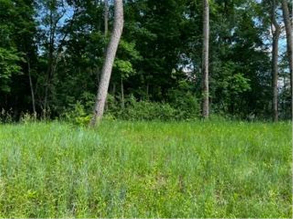 1148 Pavilion Lane SW Rochester MN 55902 7037727 image13