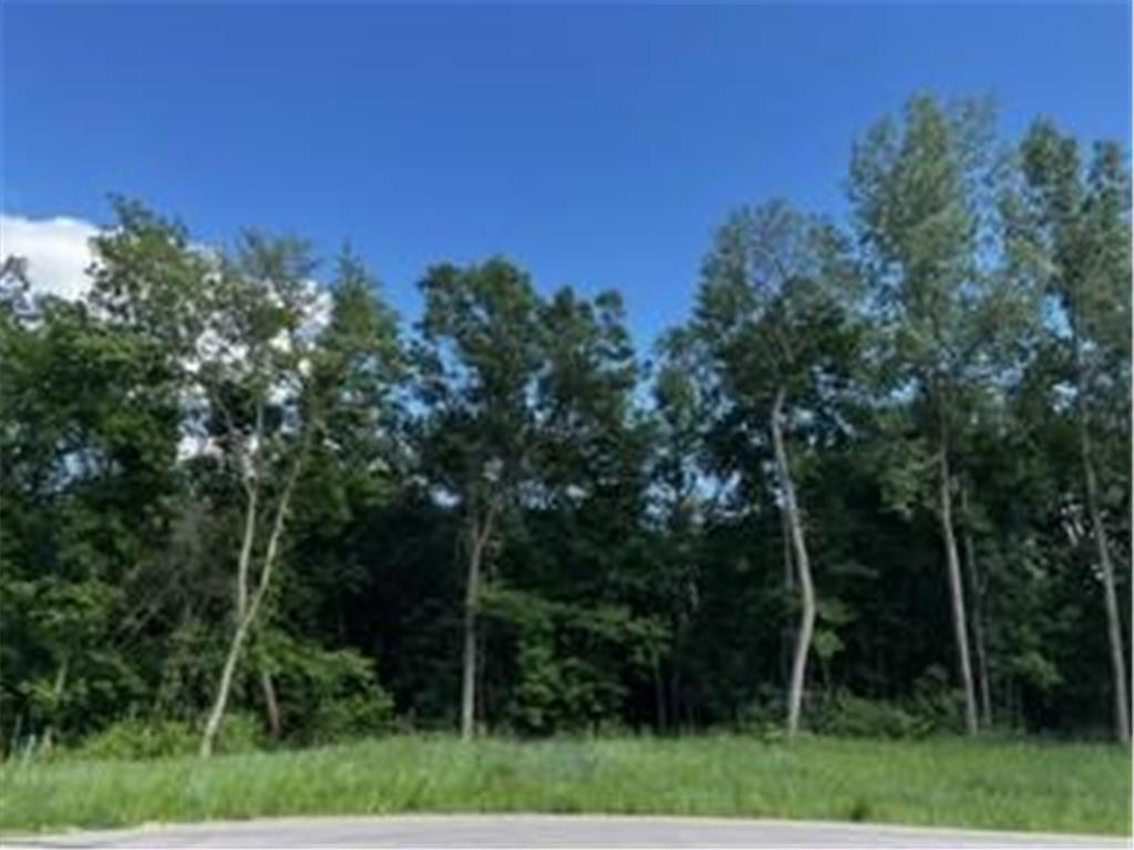 1148 Pavilion Lane SW Rochester MN 55902 7037727 image2