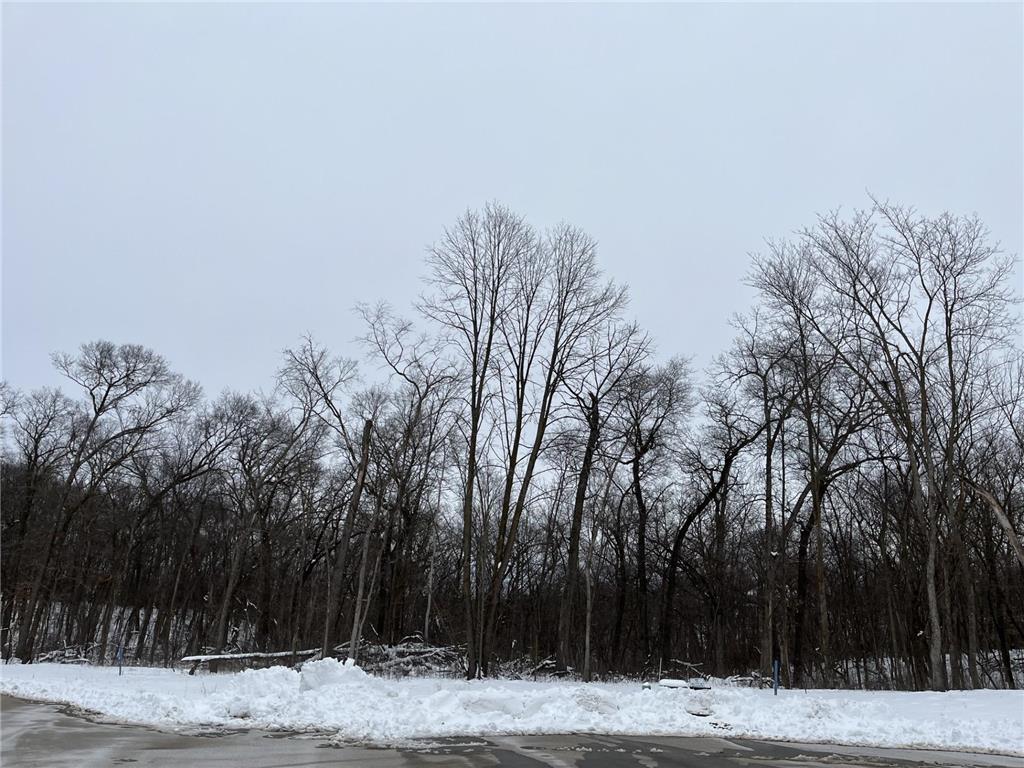 1148 Pavilion Lane SW Rochester MN 55902 7037727 image2