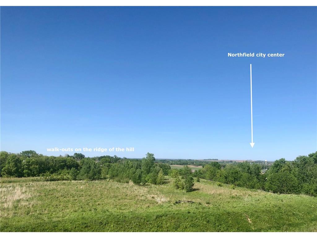 115 E 115th Street Dundas MN 55019 6635709 image4