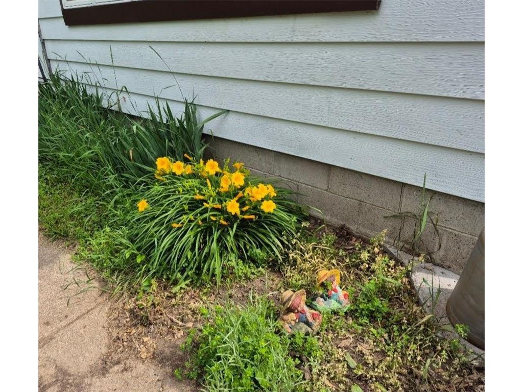 115 Keiper Drive Minnesota City MN 55959 7042097 image30