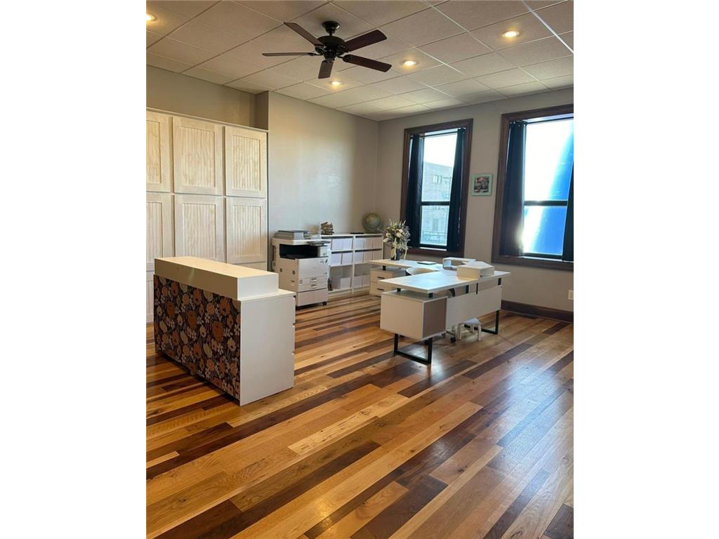 115 N Newton Avenue Albert Lea MN 56007 - Fountain 6816926 image10