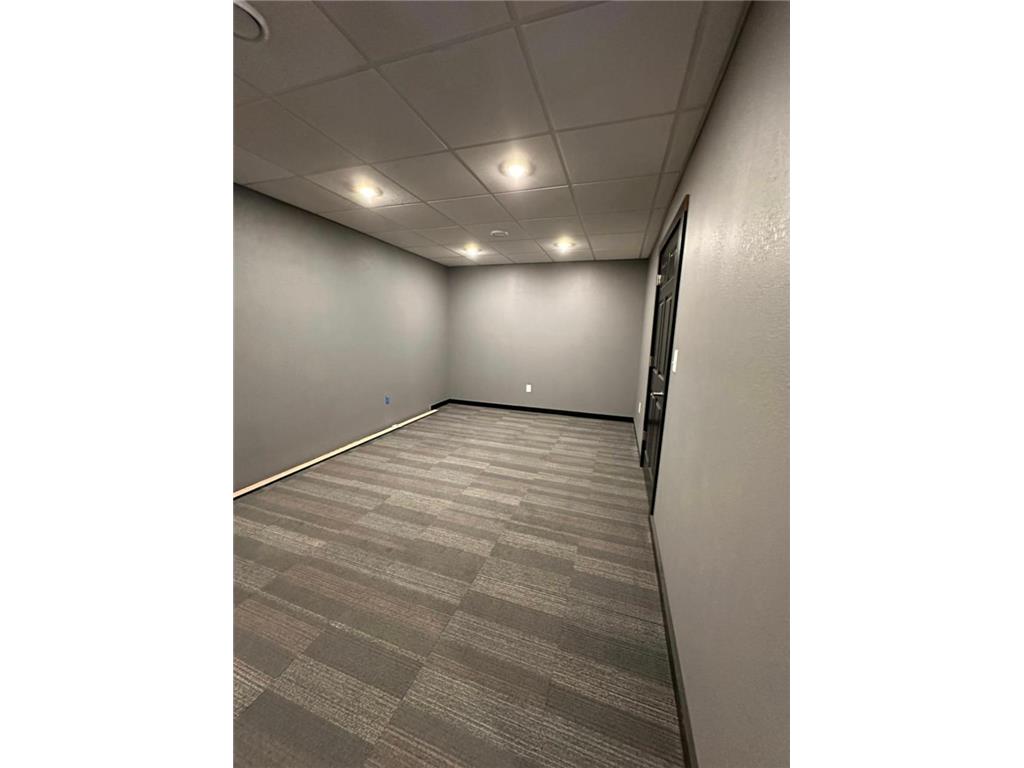 115 N Newton Avenue Albert Lea MN 56007 - Fountain 6816926 image24