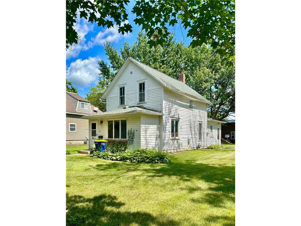 115 S Spring Avenue Springfield MN 56087 6584289 image1