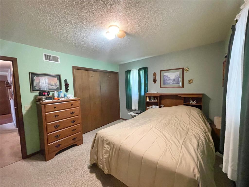 115 W Lincoln Street Springfield MN 56087 7079040 image17