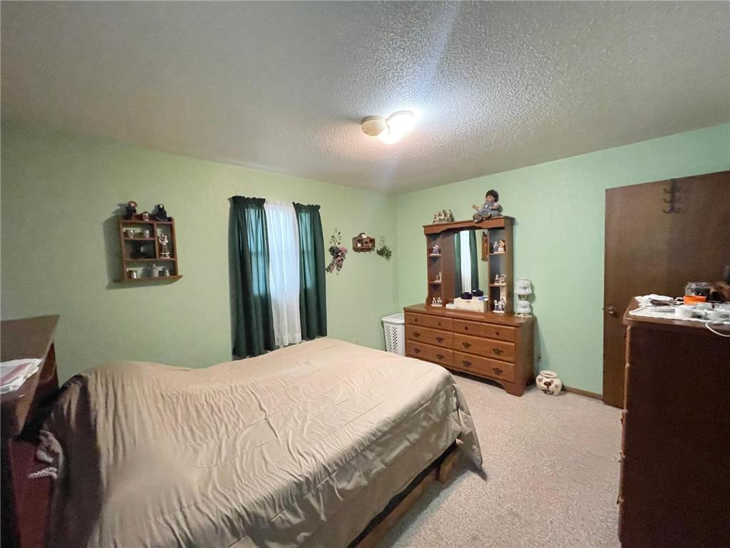 115 W Lincoln Street Springfield MN 56087 7079040 image18