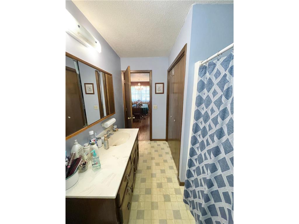 115 W Lincoln Street Springfield MN 56087 7079040 image21
