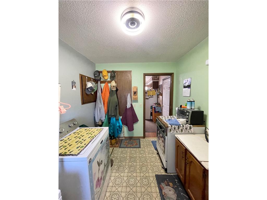 115 W Lincoln Street Springfield MN 56087 7079040 image23