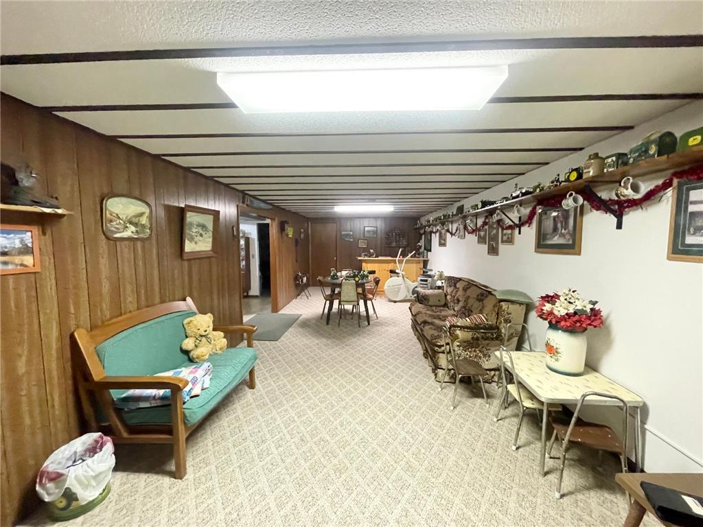115 W Lincoln Street Springfield MN 56087 7079040 image24