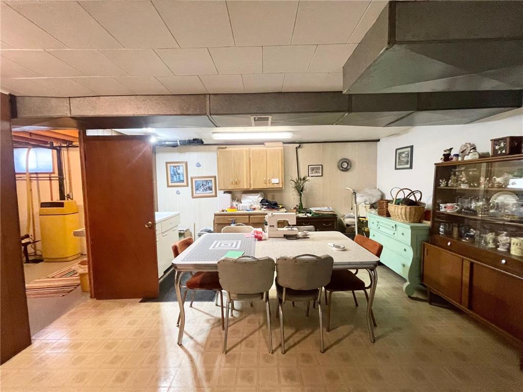 115 W Lincoln Street Springfield MN 56087 7079040 image28