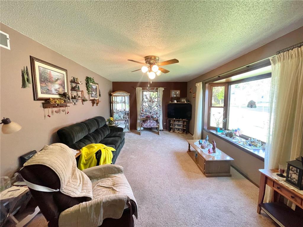 115 W Lincoln Street Springfield MN 56087 7079040 image5