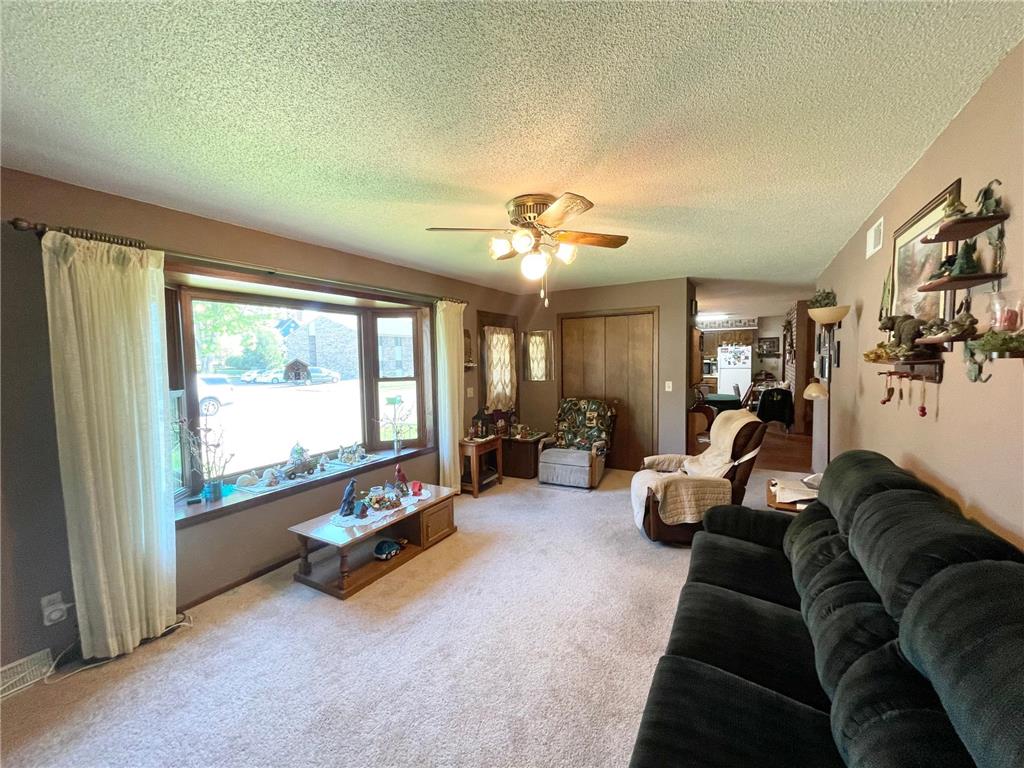 115 W Lincoln Street Springfield MN 56087 7079040 image6