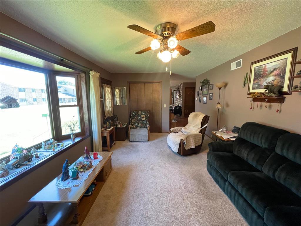 115 W Lincoln Street Springfield MN 56087 7079040 image7