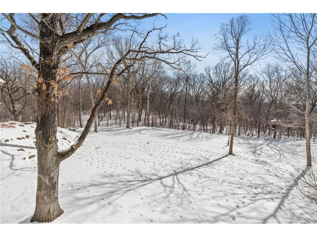 1150 105th Street E Inver Grove Heights MN 55077 7035837 image12