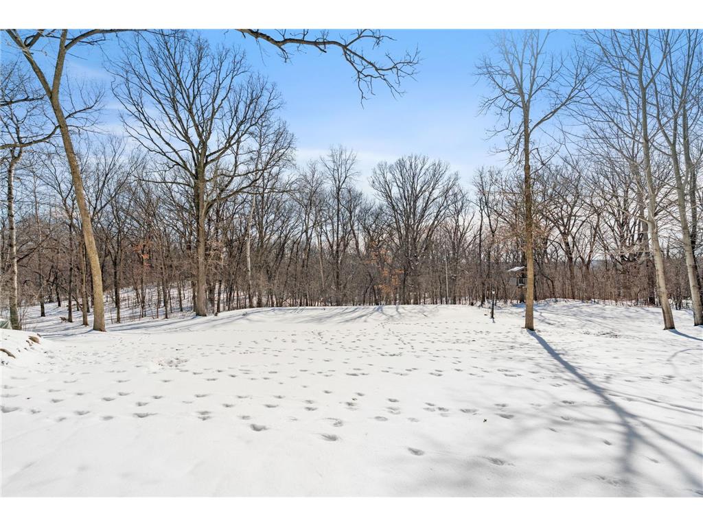 1150 105th Street E Inver Grove Heights MN 55077 7035837 image15