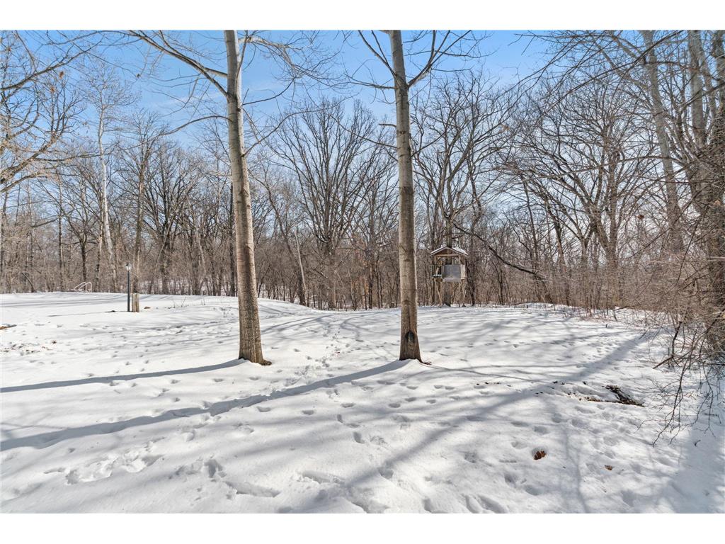 1150 105th Street E Inver Grove Heights MN 55077 7035837 image18