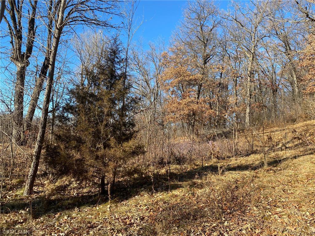 1150 Benton Drive N Sauk Rapids MN 56379 - Mississippi 6195696 image1