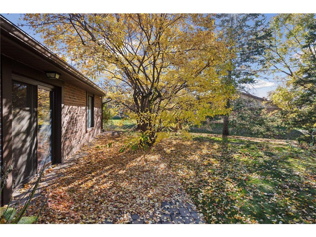 1150 Black Oaks Lane N Plymouth MN 55447 6810522 image25