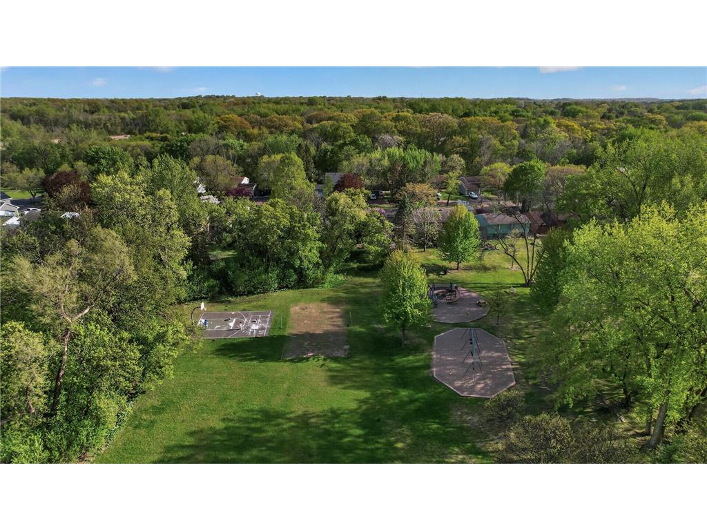 11501 Red Fox Drive Maple Grove MN 55369 - Pike 7073752 image58