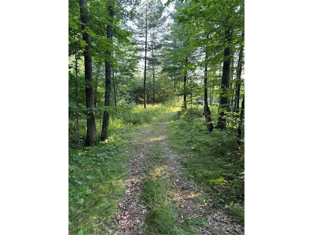 1151 27th Avenue Lakeland Twp WI 54829 - Silver Lake 7008725 image43