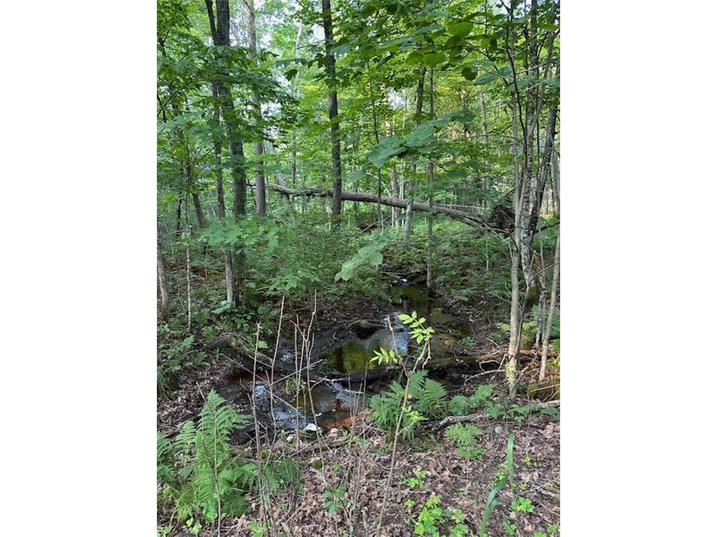 1151 27th Avenue Lakeland Twp WI 54829 - Silver Lake 7008725 image44