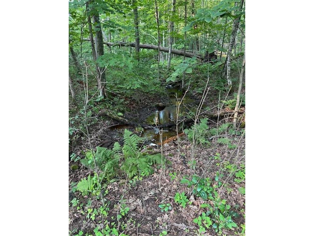 1151 27th Avenue Lakeland Twp WI 54829 - Silver Lake 7008725 image45