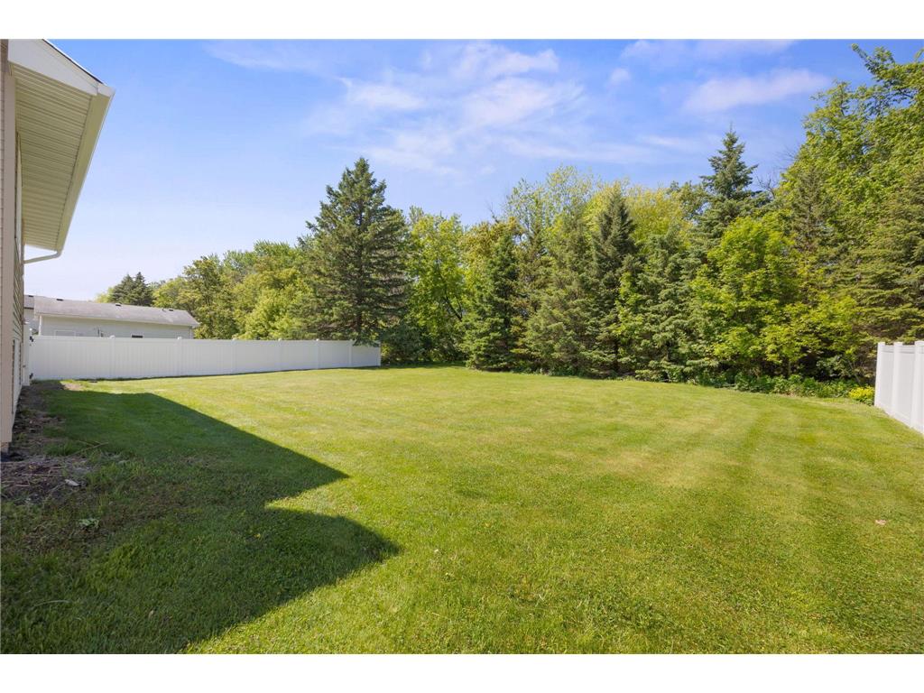11516 100th Place N Maple Grove MN 55369 7080202 image22