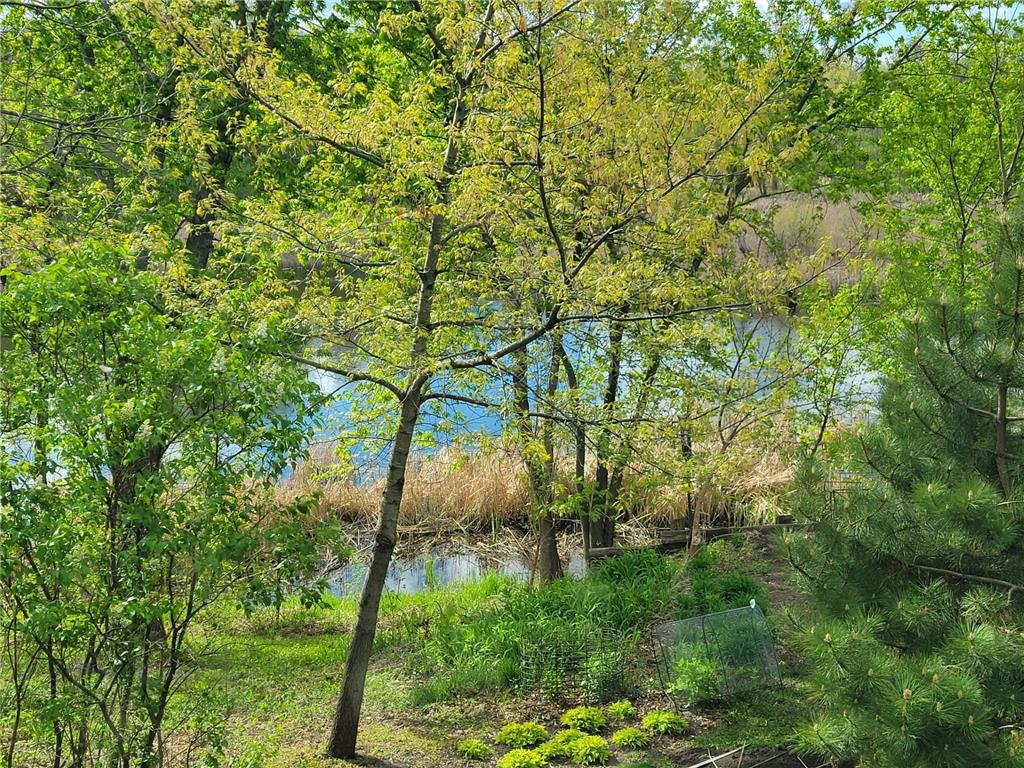 11516 172nd Street W Lakeville MN 55044 7069965 image3