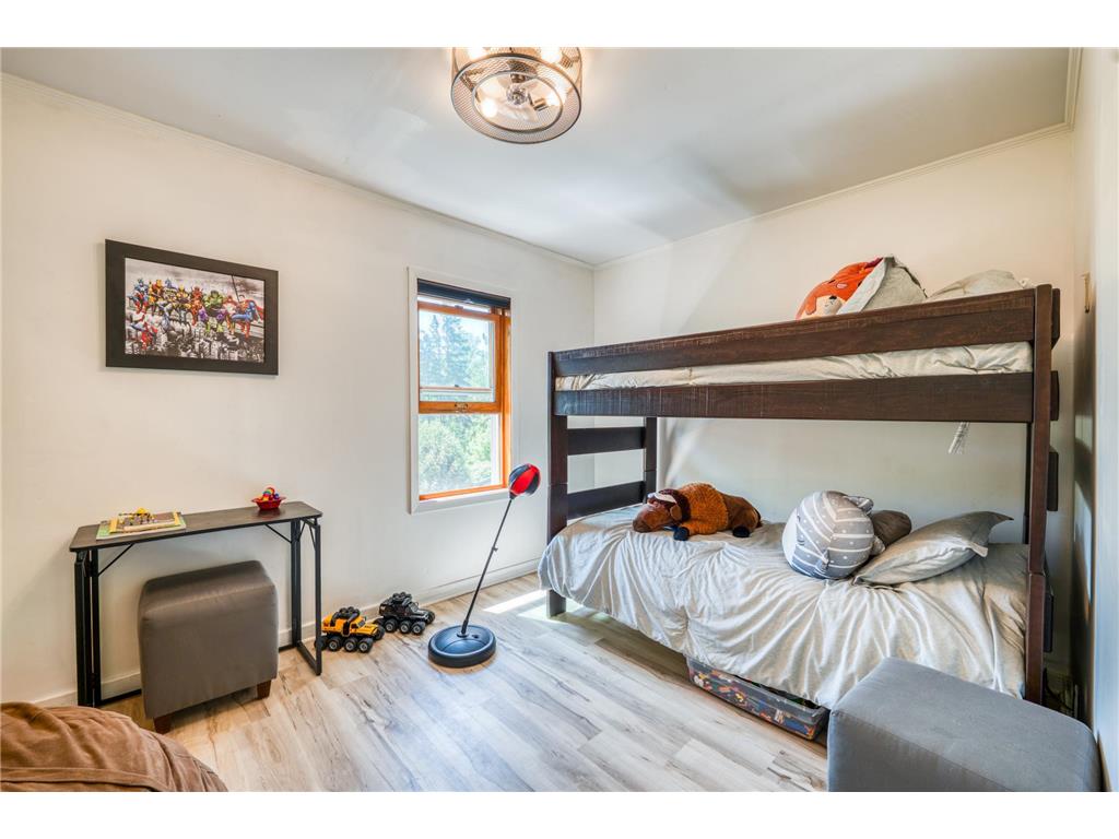 11517 Woodland Avenue South Koochiching Unorg. Terr. MN 56660 7086771 image37