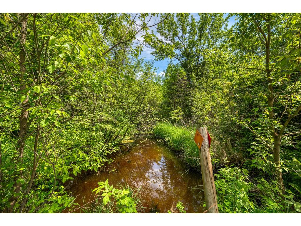 11517 Woodland Avenue South Koochiching Unorg. Terr. MN 56660 7086771 image45