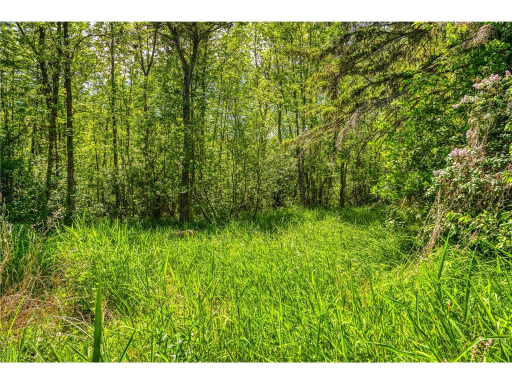 11517 Woodland Avenue South Koochiching Unorg. Terr. MN 56660 7086771 image49