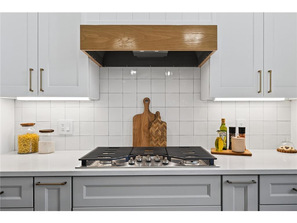 11526 54th Street SE Palmer Twp MN 55319 - Rush 6805433 image22