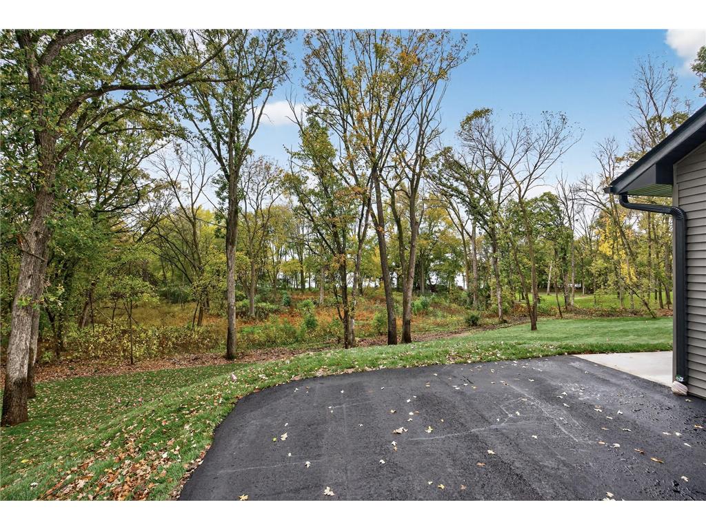 11526 54th Street SE Palmer Twp MN 55319 - Rush 6805433 image64