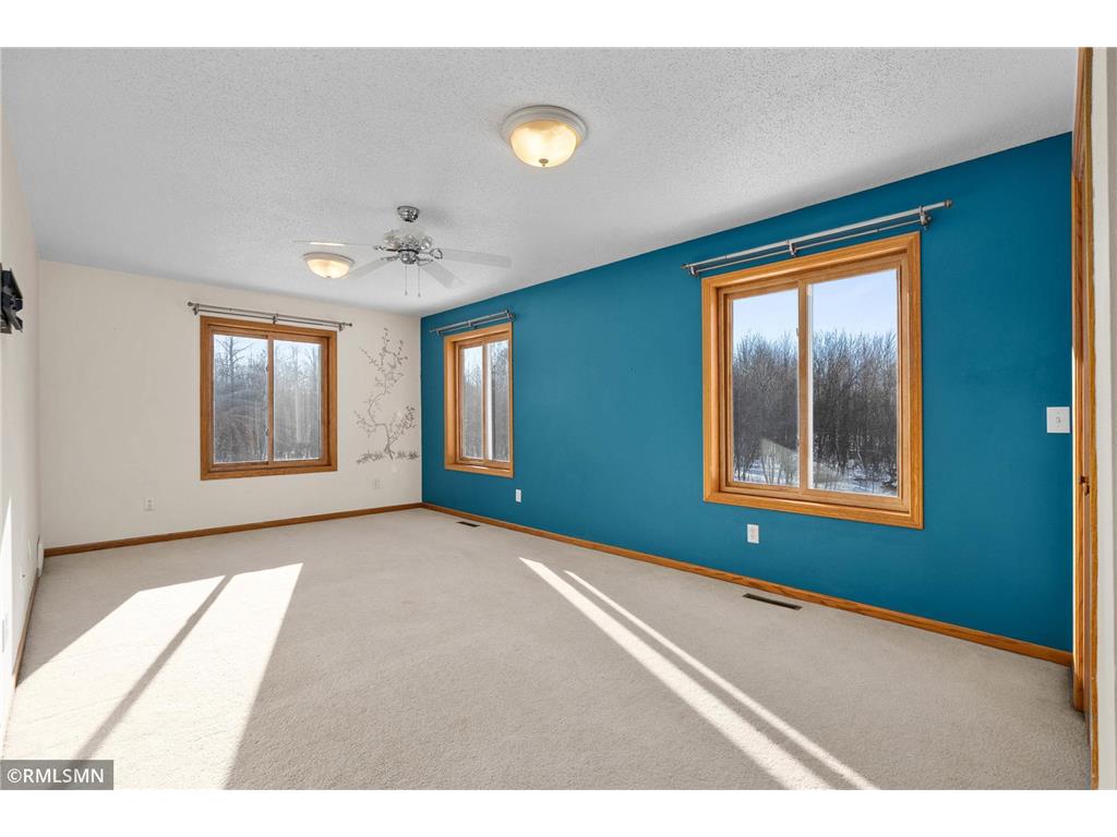 11537 118th Avenue Tilden Twp WI 54729 7043280 image43