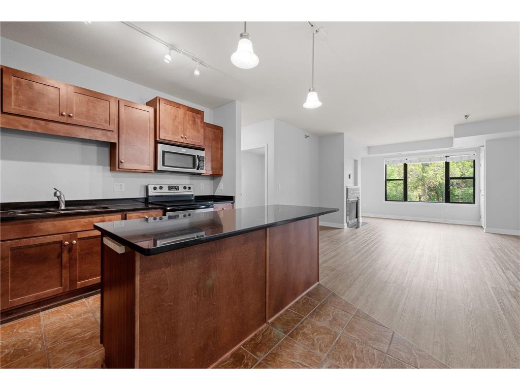 1155 Ford Road #203 Saint Louis Park MN 55426 6264093 image1