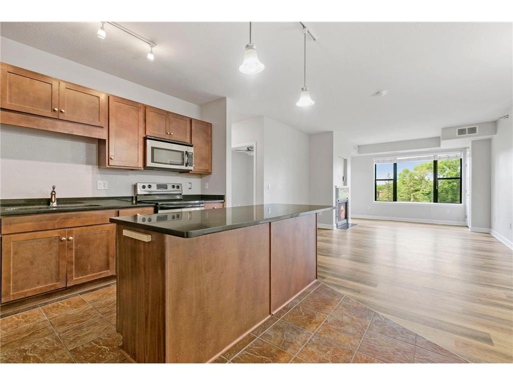 1155 Ford Road #303 Saint Louis Park MN 55426 6404873 image1