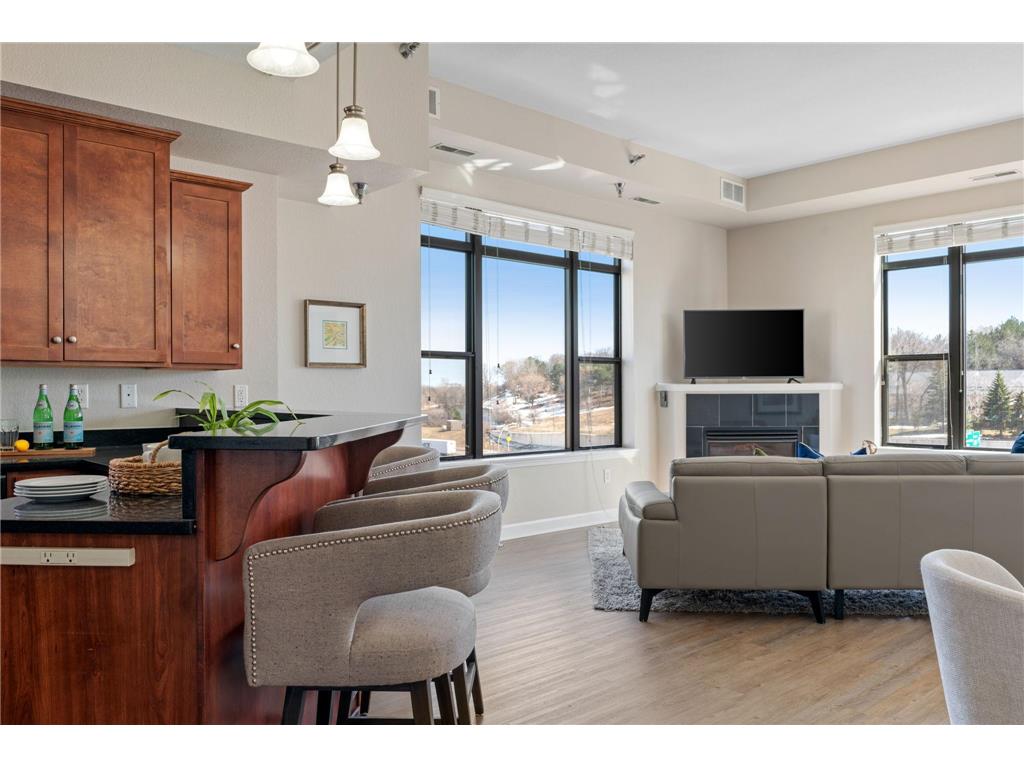 1155 Ford Road #314 Saint Louis Park MN 55426 7063061 image16