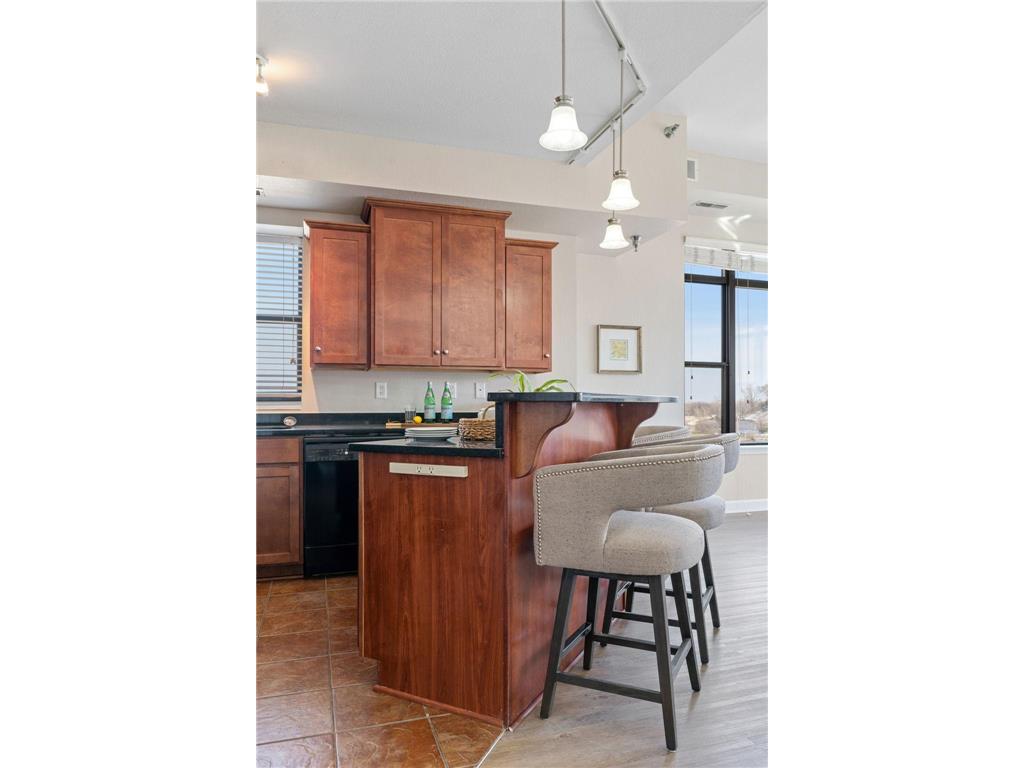 1155 Ford Road #314 Saint Louis Park MN 55426 7063061 image17