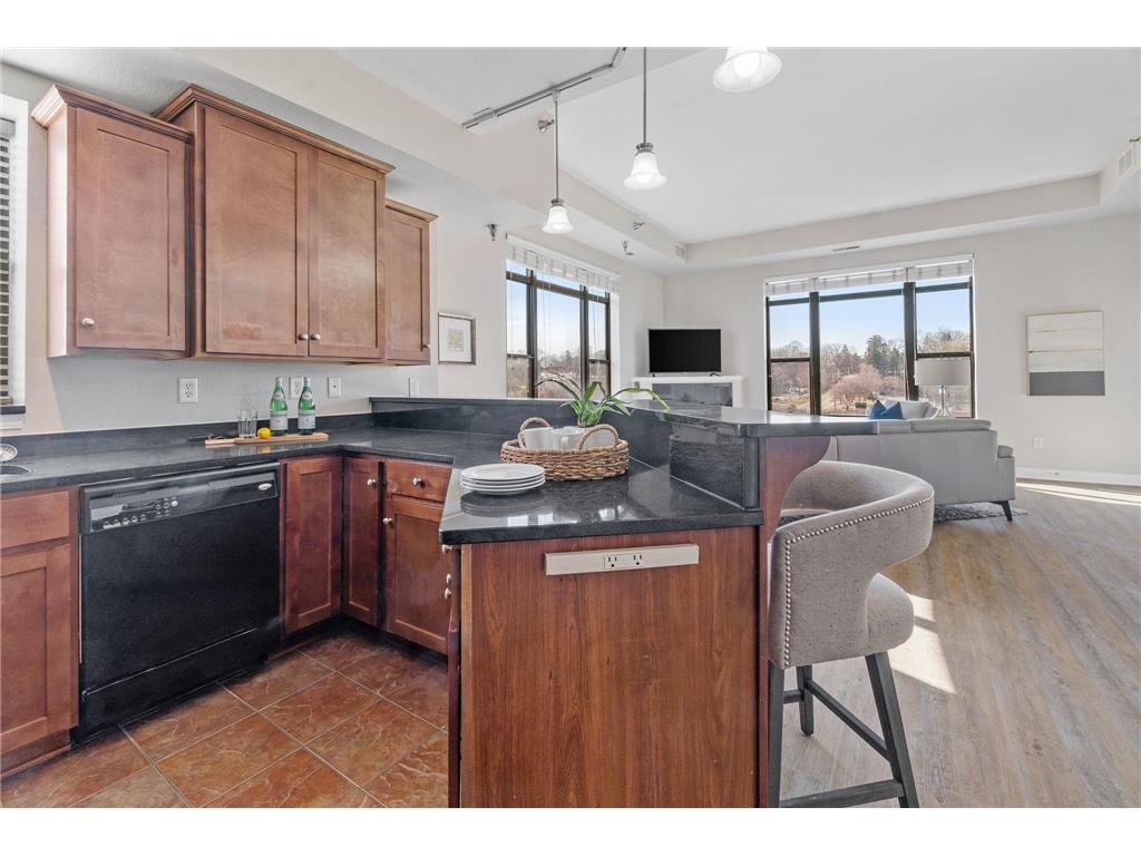 1155 Ford Road #314 Saint Louis Park MN 55426 7063061 image19