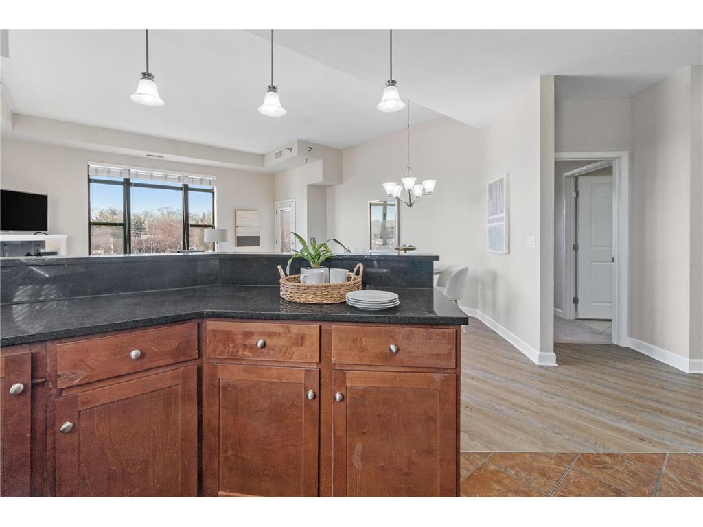1155 Ford Road #314 Saint Louis Park MN 55426 7063061 image21