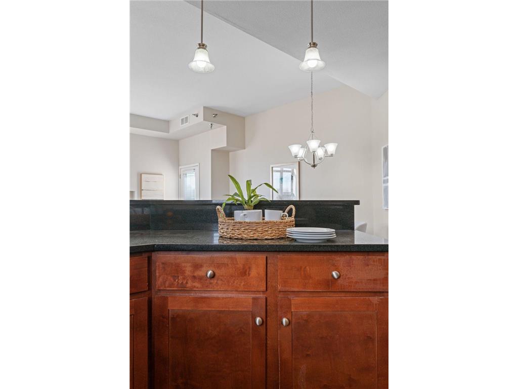 1155 Ford Road #314 Saint Louis Park MN 55426 7063061 image22