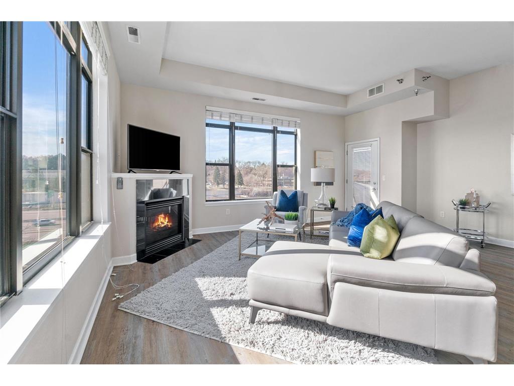 1155 Ford Road #314 Saint Louis Park MN 55426 7063061 image3